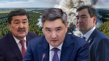 Крупный пожар в «Семей орманы»: Бектенов направил на место глав МЧС и Минэкологии