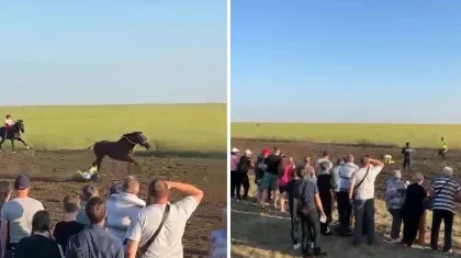 Полицейский выхватил ребенка из-под копыт лошадей на скачках в Костанайской области