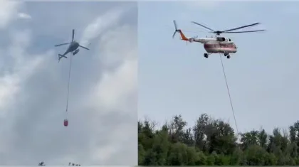 Природный пожар потушили в Ханской роще в ЗКО