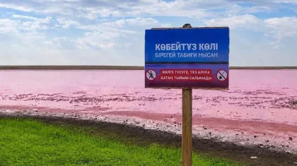 Көбейтұз закрыли для туристов: что происходит с розовым озером