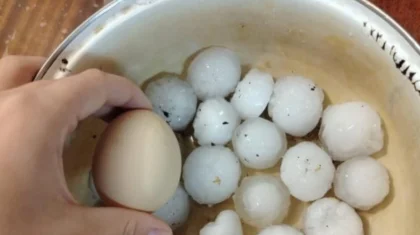 Град размером с куриное яйцо: мощный ураган обрушился на Усть-Каменогорск (ВИДЕО)