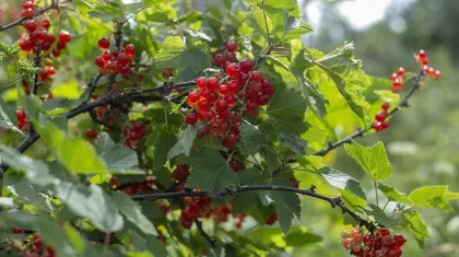 Где в Казахстане на 9 августа объявили штормовое предупреждение