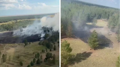 47 пожаров за неделю: где в Казахстане полыхали леса (ВИДЕО)