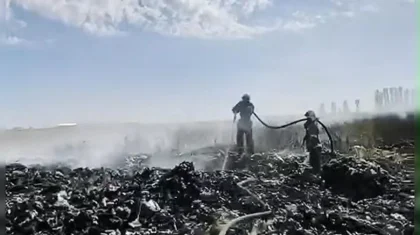 Пожар произошел на полигоне твердых бытовых отходов в Жамбылской области