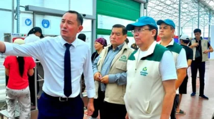 Представители партии «Ауыл» посетили тепличный комплекс ALSERA KZ в Шымкенте