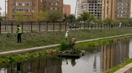 «Таза Қазақстан»: в Астане показали, как чистят реку Сарыбулак