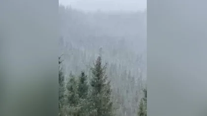 Снег выпал в горах Алматинской области (ВИДЕО)