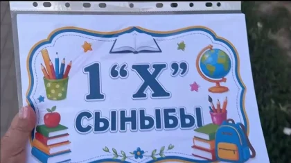 «1 «Х» сыныбы»: казахстанцев удивило количество первых классов в школах (ВИДЕО)