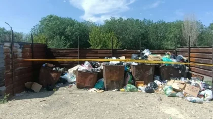 Новорожденного нашли в мусорке: полиция установила его мать в Жамбылской области