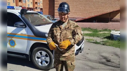 Змею отловили возле жилого дома в Карагандинской области (ВИДЕО)