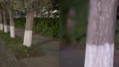 Извращенца в кустах сняла на видео жительница Астаны