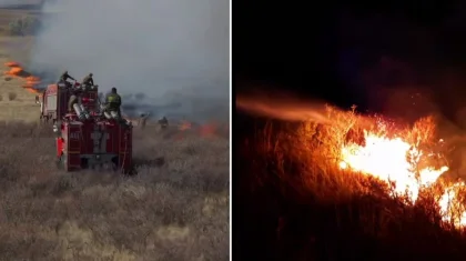 Крупный природный пожар в области Абай: на помощь пришли ДЧС соседних регионов