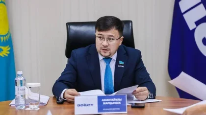 Кредит на 6 млн теңге и заложенный дом: казахстанка обратилась за помощью в партию «Әділет»