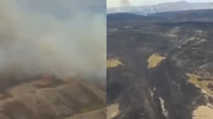 Крупный пожар тушат в нацпарке на востоке Казахстана (ВИДЕО)