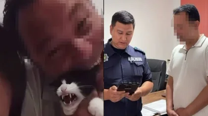 Казахстанец жестоко обращался с кошкой во время стрима в TikTok: его задержала полиция