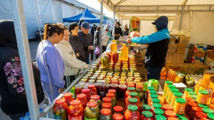 3,5 тысячи тонн сельхозпродукции представили на ярмарках «Дала дәмі»