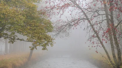 Туман, заморозки и гололед: штормовое предупреждение на 7 октября в Казахстане