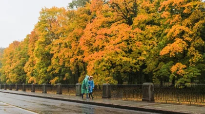 Туман и осадки: штормовое предупреждение объявили в Казахстане на 13 октября