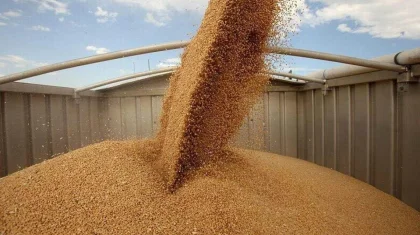 Объем продукции сельского хозяйства Казахстана превысил 7 трлн теңге