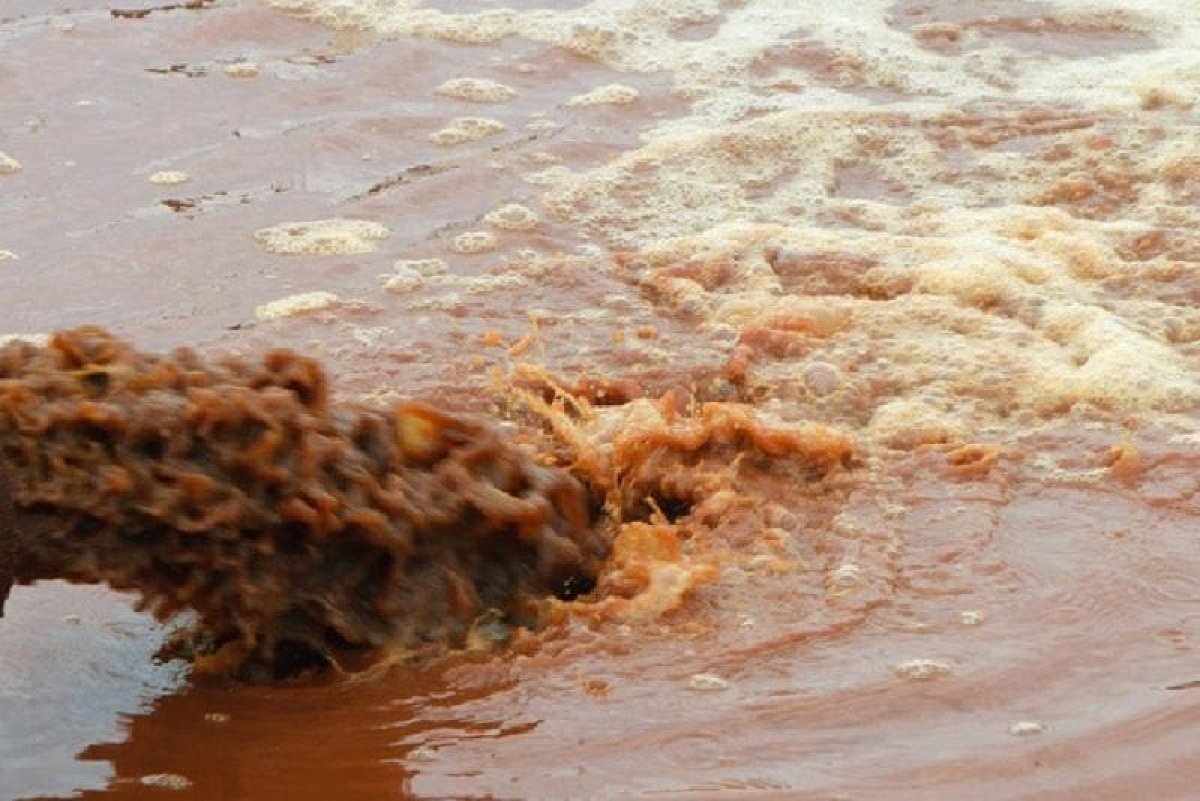 Фекальные воды сливают в Нур-Султане