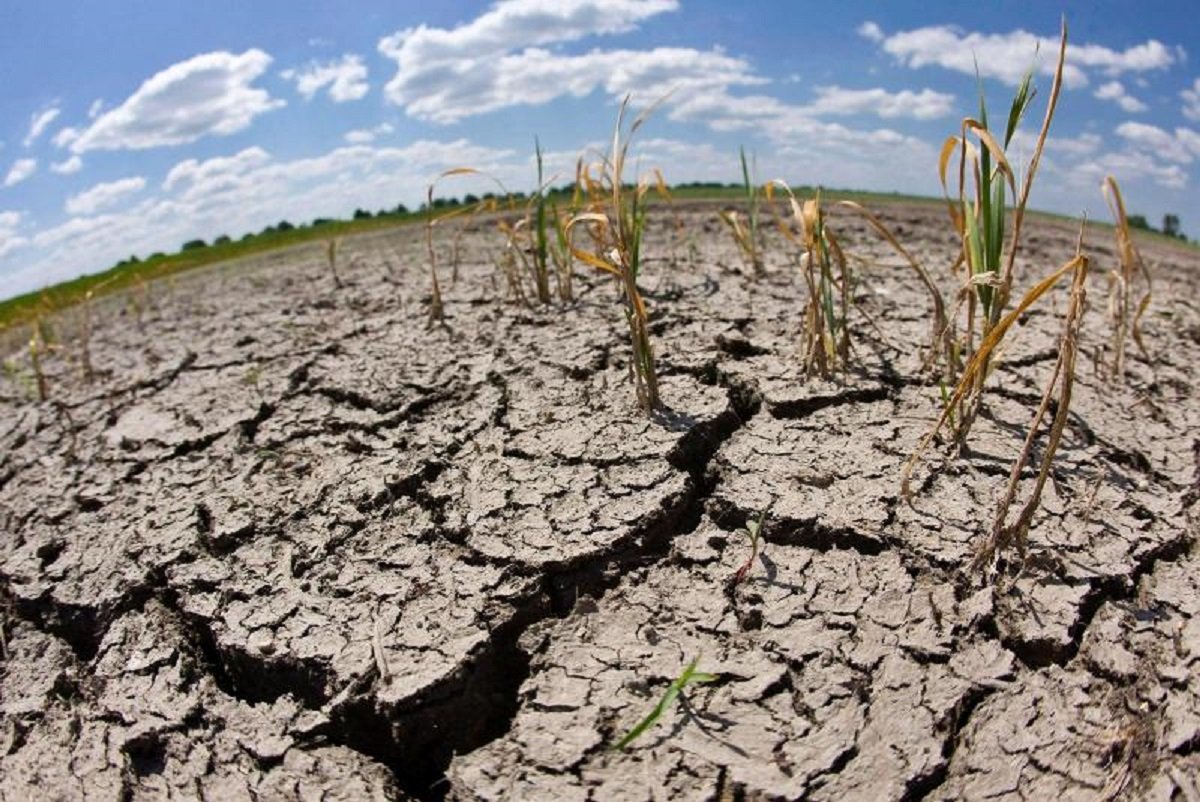 Страшными кадрами последствий засухи поделился актауский блогер