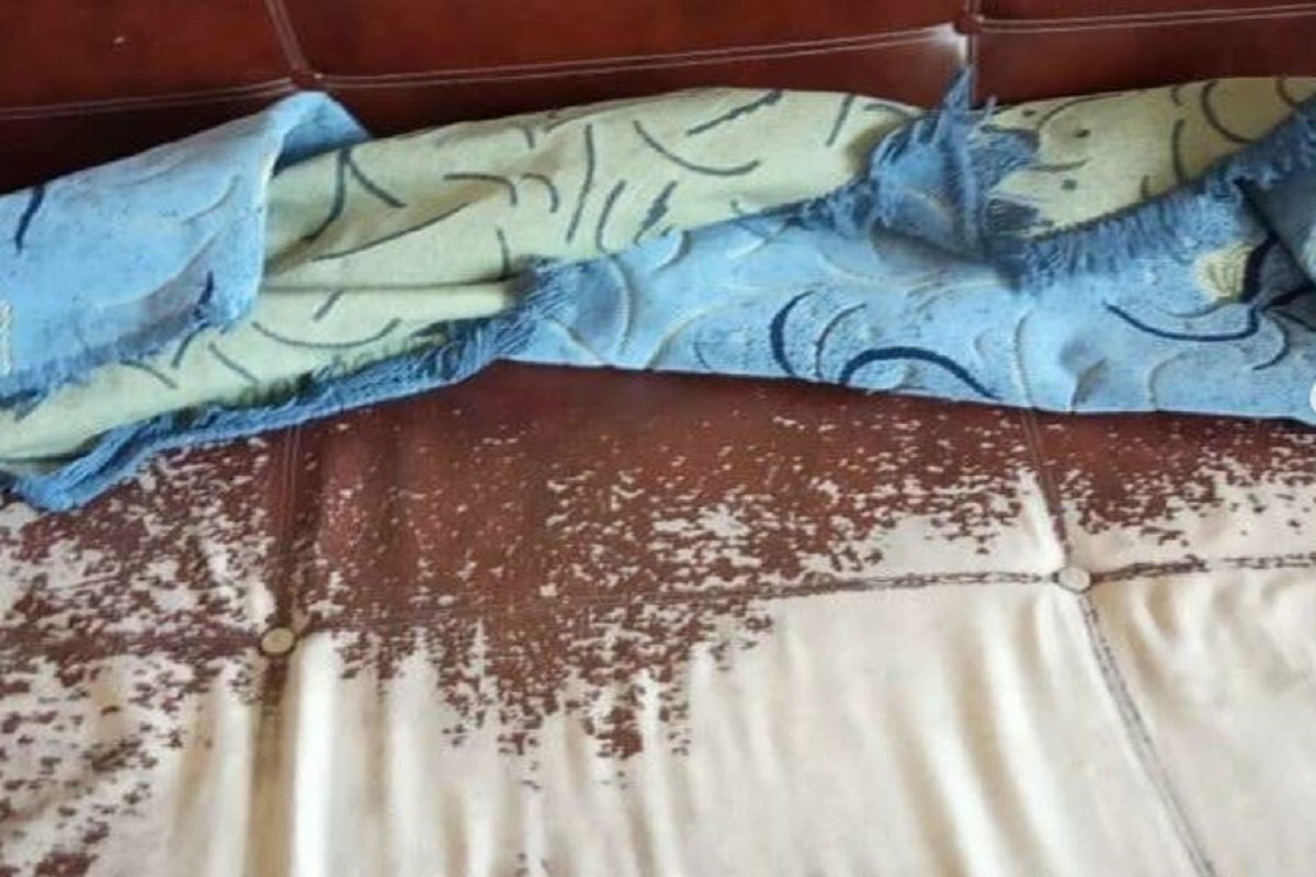 Две медсестры на 160 опекаемых: сотрудники пожаловались на ситуацию в доме престарелых Павлодара