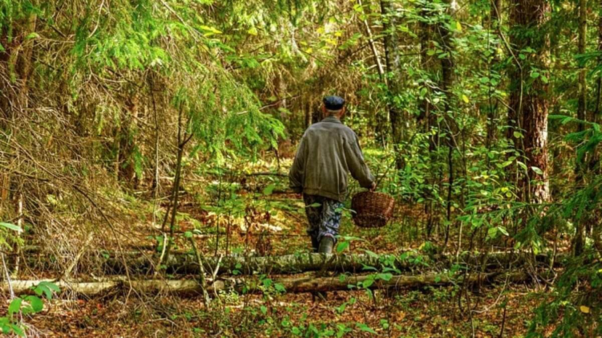 Вот машина стоит. На сидении детское кресло»: тело девушки нашли в  Костанайской области