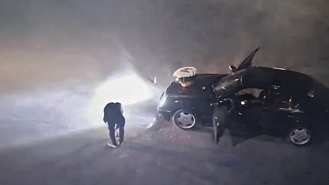 Парни устроили фейерверк среди деревьев в Шымкенте (ВИДЕО)