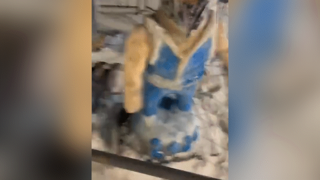 «Снегурка – боец UFC»: странные снежные фигуры в Степногорске рассмешили Казнет (ВИДЕО)