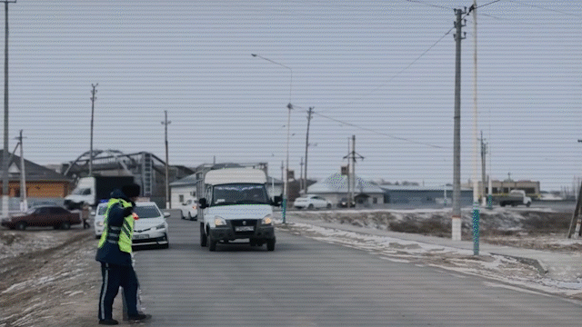 Больше 530 скотокрадов задержали в Казахстане с начала года (ВИДЕО)