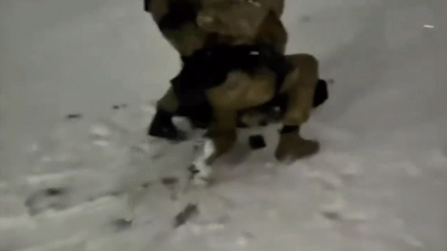 Парень 5 лет преследовал семью отказавшей ему девушки в области Улытау (ВИДЕО)