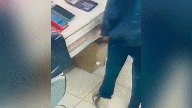 Стажер похитил выручку: момент кражи попал на камеру в Уральске (ВИДЕО)