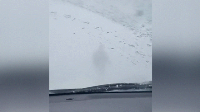 Шла впереди в буран: учительница вывела колонну машин из снежного плена в Павлодарской области (ВИДЕО)