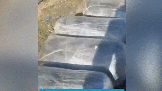 Изъяты 13 мешков с наркотиками: масштабную спецоперацию провели в Павлодарской области (ВИДЕО)