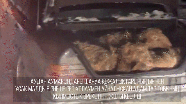 36 голов скота похитила группа из 11 человек в области Абай (ВИДЕО)