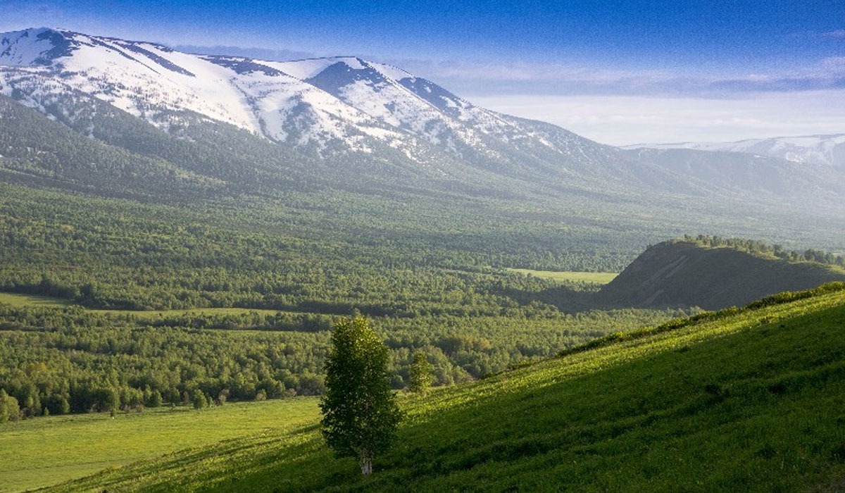 Заповедники западной. Западно Алтайский заповедник. Алтайский заповедник Восточно-Казахстанская область. Хребет Холзун. Город Риддер заповедник.